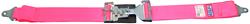 RJS Classic Series Latch and Link  2-Point Harness 15001910