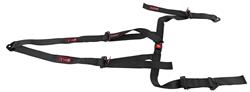 RJS Off-Road and Buggy Belts with OEM-Style Buckles 4-Point Harness 4000301