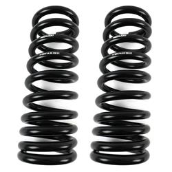 REKUDO Lowering Springs RK200-12