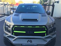 RK Sport Fiberglass Hoods 19016000