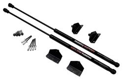Redline Tuning QuickLIFT Plus Lift Supports for 1999-2004 MUSTANG - 21-11014-02