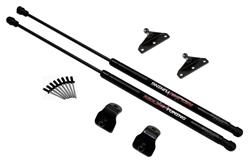 Redline Tuning QuickLIFT Plus Lift Supports for 2007-2014 MUSTANG - 21-11018-02