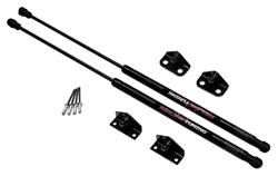 Redline Tuning QuickLIFT Plus Lift Supports for 2012-2013 VELOSTER - 21-14004-02