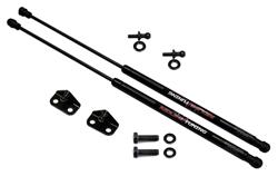 Redline Tuning QuickLIFT Plus Lift Supports for 2019-2020 ELANTRA - 21-14009-02