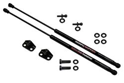 Redline Tuning QuickLIFT Plus Lift Supports for 2016-2018 ELANTRA - 21-14010-02