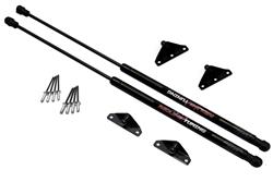Redline Tuning QuickLIFT Plus Lift Supports for 1987-1996 BERETTA - 21-16001-02