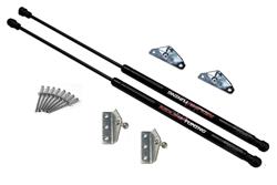 Redline Tuning QuickLIFT Lift Supports 21-16007-01