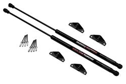 Redline Tuning QuickLIFT Plus Lift Supports for 1988-1991 CIVIC - 21-18004-02