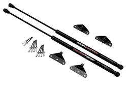 Redline Tuning QuickLIFT Plus Lift Supports for 2005-2009 SPECTRA - 21-21001-02