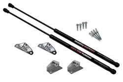 Redline Tuning QuickLIFT Lift Supports for 1995-2005 NEON - 21-22005-01
