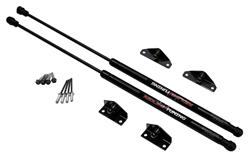 Redline Tuning QuickLIFT Plus Lift Supports for 1995-2005 NEON - 21-22005-02
