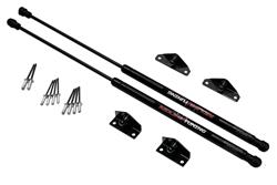 Redline Tuning QuickLIFT Plus Lift Supports for 2007-2009 3 - 21-26001-02