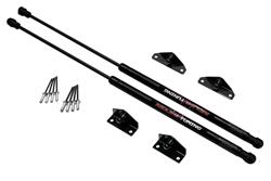 Redline Tuning QuickLIFT Plus Lift Supports for 1998-2002 COROLLA - 21-27012-02