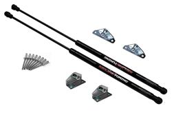 Redline Tuning QuickLIFT Lift Supports for 2000-2006 SENTRA - 21-31005-01