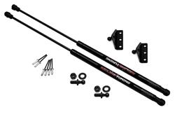 Redline Tuning QuickLIFT Plus Lift Supports for 2007-2012 SENTRA - 21-31006-02
