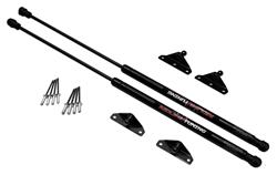 Redline Tuning QuickLIFT Plus Lift Supports for 1991-1994 SENTRA - 21-31009-02