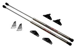 Redline Tuning QuickLIFT Elite Lift Supports for 1991-1994 SENTRA - 21-31009-03