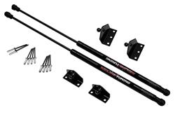 Redline Tuning QuickLIFT Plus Lift Supports for 2004-2006 XB - 21-33002-02