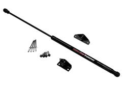 Redline Tuning QuickLIFT Plus Lift Supports for 2005-2010 TC - 21-33004-02