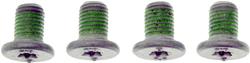 Dorman Brake Rotor Retaining Screws 14160