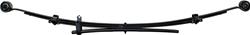 Dorman Leaf Springs 22-1417