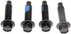 Dorman Bumper End Caps for 2015-2021 VNL - 242-6110