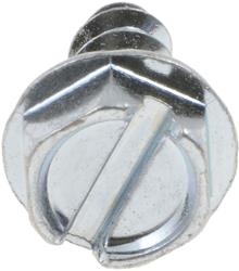 Dorman Screws 365-196
