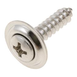 Dorman Screws 45580