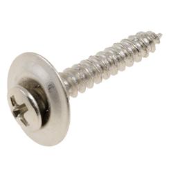 Dorman Screws 45581