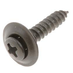 Dorman Screws 45589