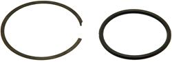 Dorman Fuel Tank Lock Rings 579-091