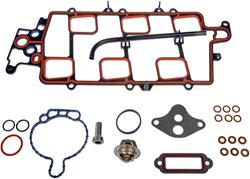 Dorman Intake Gaskets 615-207