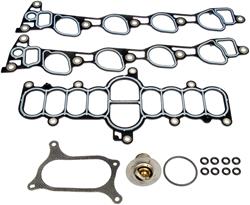 Dorman Intake Gaskets 615-701