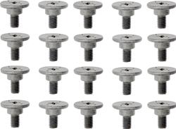 Dorman - Bolts and Screws for 2012-2015 CIVIC, 2013-2015 ILX - 700-113