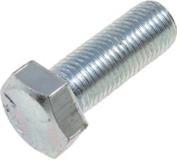 Dorman Bolts and Screws 807-210BX