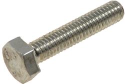 Dorman Bolts and Screws 875-020BX