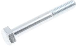 Dorman Bolts and Screws 875-460BX