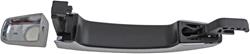 Dorman Interior Door Handles 79797