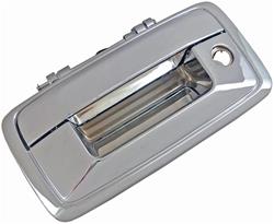 Dorman Tailgate Handles 82548