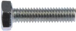 Dorman Bolts and Screws 875-016BX
