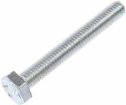 Dorman Bolts and Screws 875-030BX