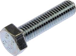 Dorman Bolts and Screws 875-120BX