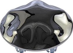 Dorman Wheel Center Caps for 2000-2002 EXPEDITION, 2000-2004 F-150, 2004 F-150 HERITAGE - 909-034
