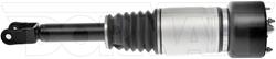 Dorman Active Air Suspension Shocks and Struts 949-856
