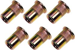 Dorman Rivet Nuts and Threaded Inserts 963-252D
