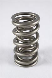 PAC Racing RPM Series Valve Springs