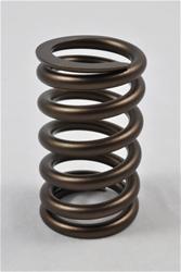 PAC Racing Beehive Series Valve Springs