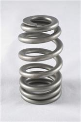 Valve Springs - 1.900 in. Installed Height (in.) - Free Shipping