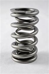 PAC Racing RPM Series Valve Springs PAC-1222X-16