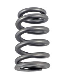 PAC Racing RPM Series Valve Springs PAC-1223X